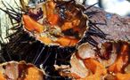 I sapori del Salento