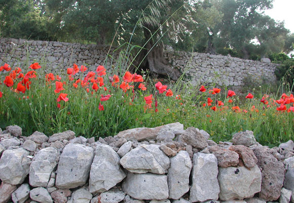 salento21