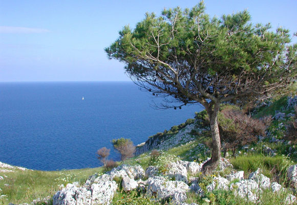 salento24